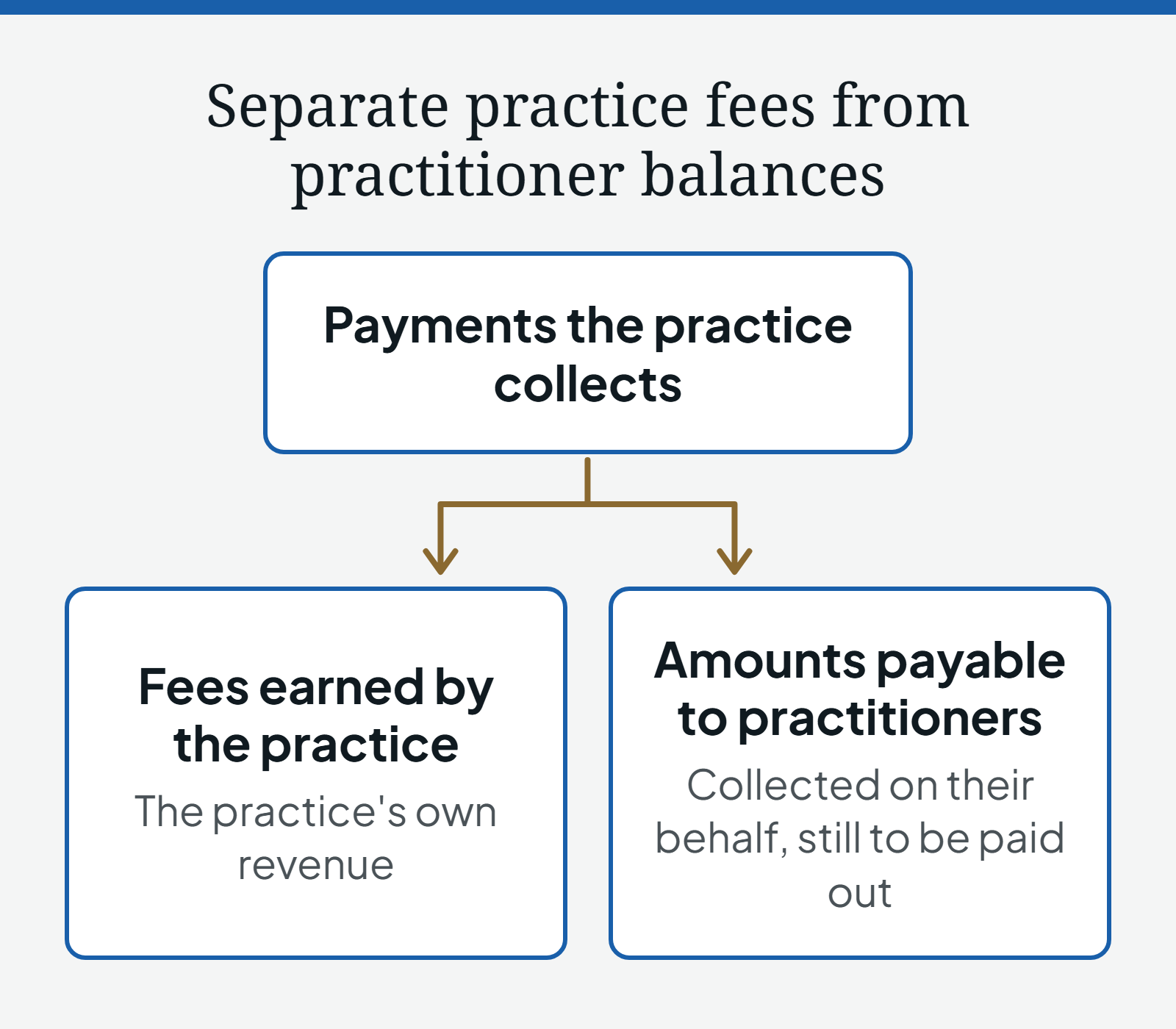 Diagram of payments the practice collects dividing into two parts: fees earned by the practice, and amounts payable to practitioners, collected on their behalf and still to be paid out